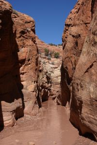 Buckskin Gulch společně s Paria River Canyonem je největší soustavou Slot Canyonů (úzkých soutěsek) na světě.
